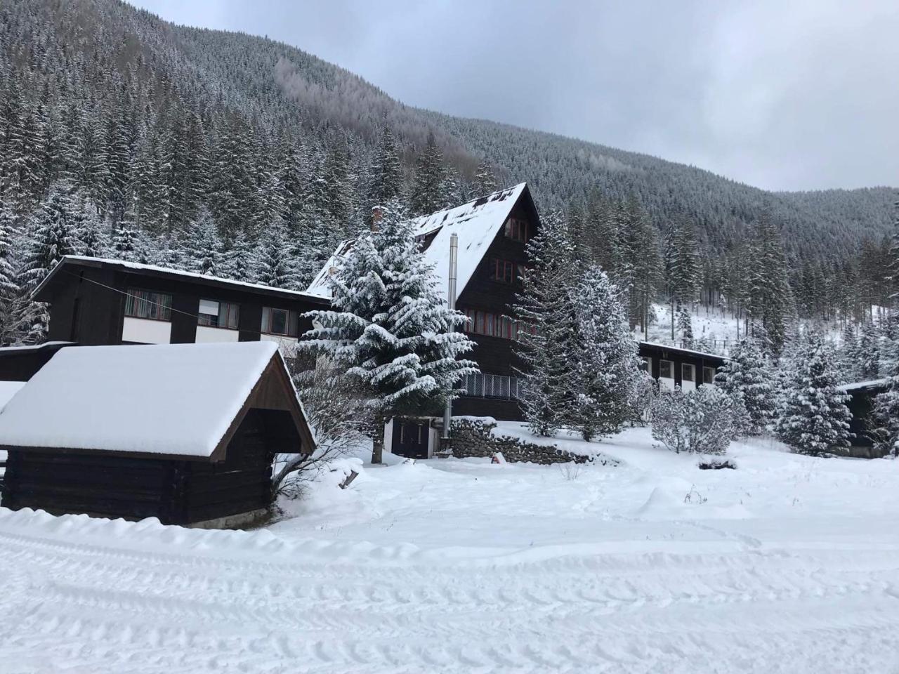 Horska Chata Primula - 1000 M Nad Morom Zuberec Exterior foto